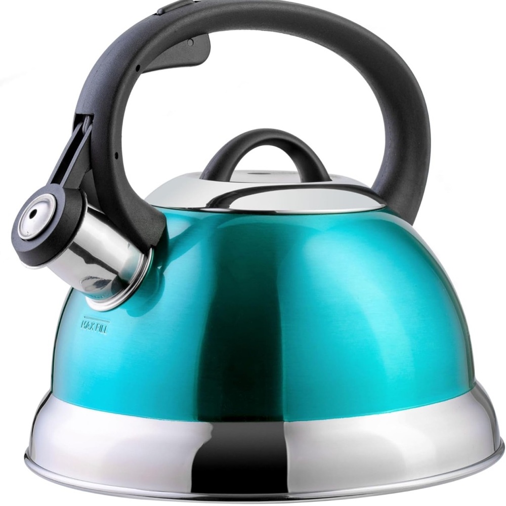 NEW! Metallic Teal Stainless Steel Whistling Kettle